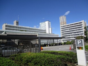 白金高輪駅 徒歩3分 10階の物件内観写真